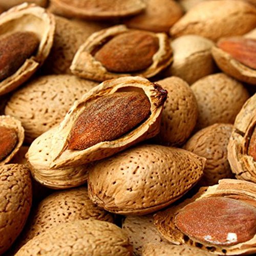 Almonds Natur 5 kg. von youdreamitaly