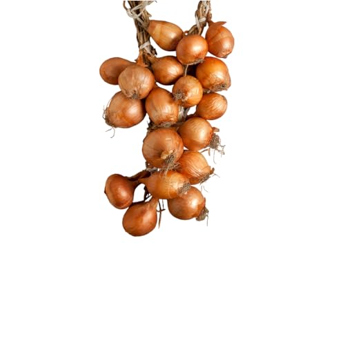 Geflecht aus Zwiebeln Vico Equense - Angebot 3 Pieces Geflecht aus Zwiebeln Vico Equense - Angebot 3 Pieces von youdreamitaly