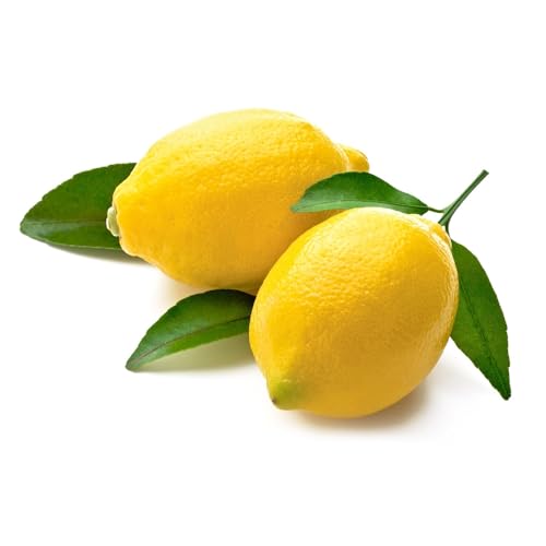 ZITRONE PRIMOFIORE A FOGLIA ( KG. 10 ) WIRD AUCH FÜR DIE HERSTELLUNG VON LIMONCELLO BENÖTIGT von youdreamitaly